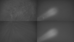 Sdružený snímek Bludný