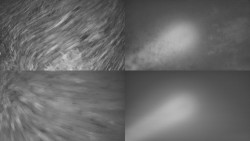 Sdružený snímek Bludný