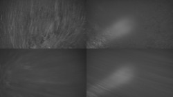 Sdružený snímek Bludný