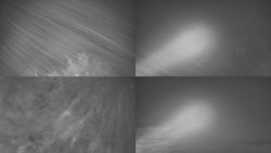 Sdružený snímek Bludný