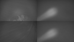 Sdružený snímek Bludný