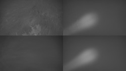 Sdružený snímek Bludný