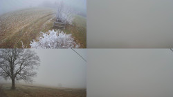 Sdružený snímek Bludný