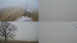 Sdružený snímek Bludný