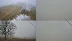 Sdružený snímek Bludný