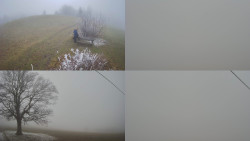 Sdružený snímek Bludný