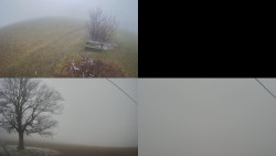 Sdružený snímek Bludný