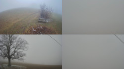 Sdružený snímek Bludný