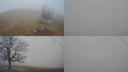 Sdružený snímek Bludný