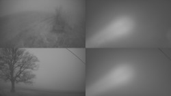 Sdružený snímek Bludný