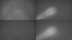 Sdružený snímek Bludný