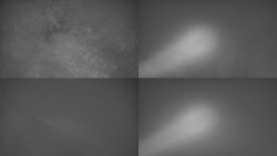 Sdružený snímek Bludný