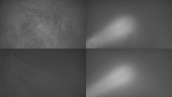 Sdružený snímek Bludný