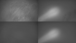 Sdružený snímek Bludný