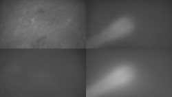 Sdružený snímek Bludný