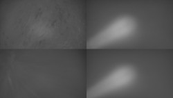 Sdružený snímek Bludný