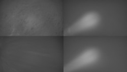 Sdružený snímek Bludný