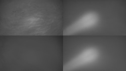 Sdružený snímek Bludný