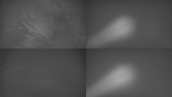 Sdružený snímek Bludný