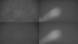 Sdružený snímek Bludný