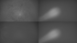 Sdružený snímek Bludný