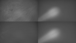 Sdružený snímek Bludný