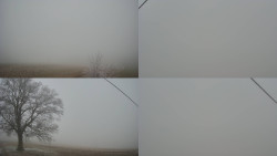 Sdružený snímek Bludný