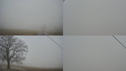 Sdružený snímek Bludný