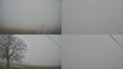 Sdružený snímek Bludný