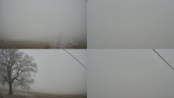 Sdružený snímek Bludný