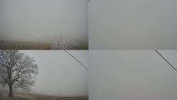 Sdružený snímek Bludný