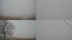 Sdružený snímek Bludný