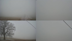 Sdružený snímek Bludný