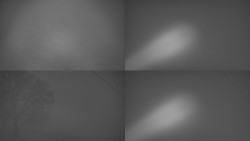 Sdružený snímek Bludný