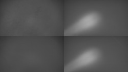 Sdružený snímek Bludný