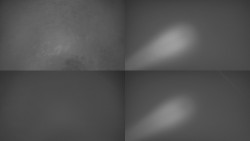 Sdružený snímek Bludný