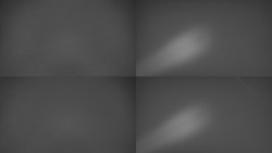 Sdružený snímek Bludný