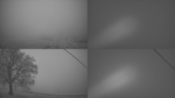 Sdružený snímek Bludný