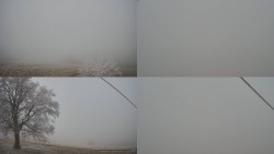 Sdružený snímek Bludný