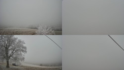 Sdružený snímek Bludný