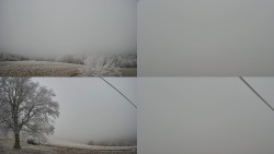 Sdružený snímek Bludný