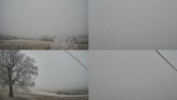 Sdružený snímek Bludný