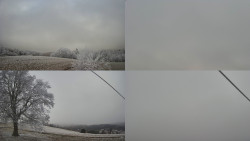 Sdružený snímek Bludný