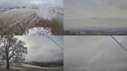 Sdružený snímek Bludný