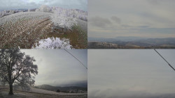 Sdružený snímek Bludný