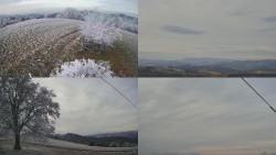 Sdružený snímek Bludný