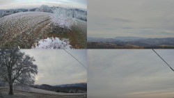 Sdružený snímek Bludný