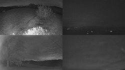 Sdružený snímek Bludný