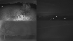 Sdružený snímek Bludný