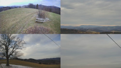 Sdružený snímek Bludný